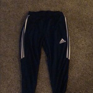Adidas striped pants(blue)